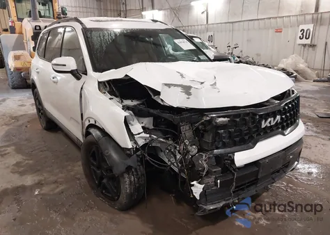 2024 Kia Telluride Ex X-Line z USA, uszkodzony, nr VIN 5XYP3DGC1RG436084